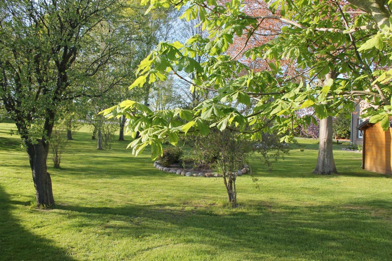Fewo An Der Muehle Hasselberg  Extérieur photo